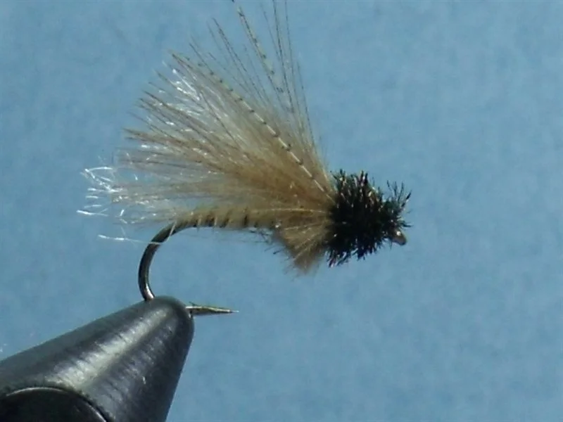 Close-up of a fishing fly with a black body and tan wings, held in a black vise.