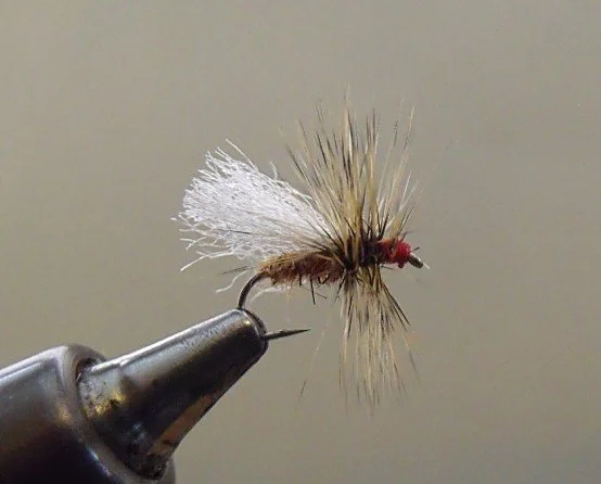 Close-up of a fishing fly with a red head, tied with brown, white, and tan feathers, mounted on a fishing hook.