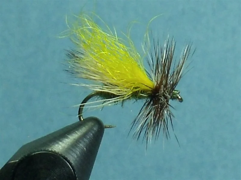 EZ2C Caddis