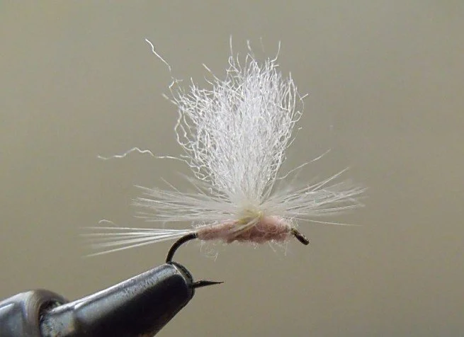 Pink Cahill Parachute