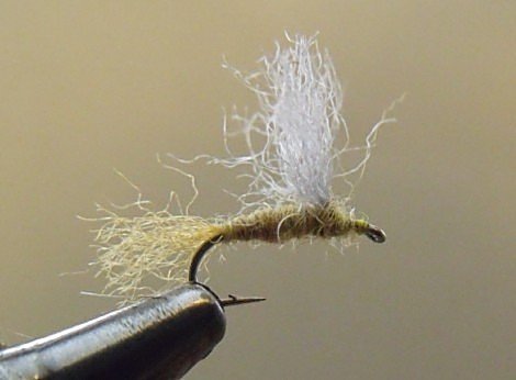 Close-up of a fishing hook with a white feathered fishing fly tied to it, used for fly fishing.
