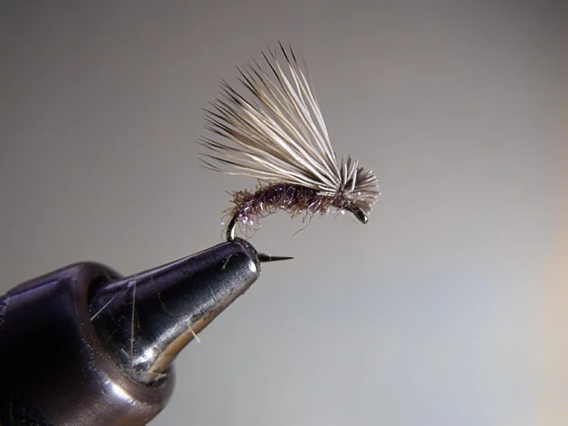 Close-up of a fishing fly tied to a metal hook held in a vice