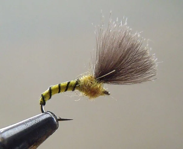 Close-up of a fishing fly lure with a yellow and black striped body, fuzzy yellow section, and a large brown feathered tail, mounted on a metallic fishing hook.