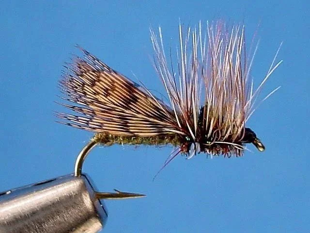 Close-up of a fishing fly lure with feathers, fur, and synthetic fibers attached to a hook, against a blue background.
