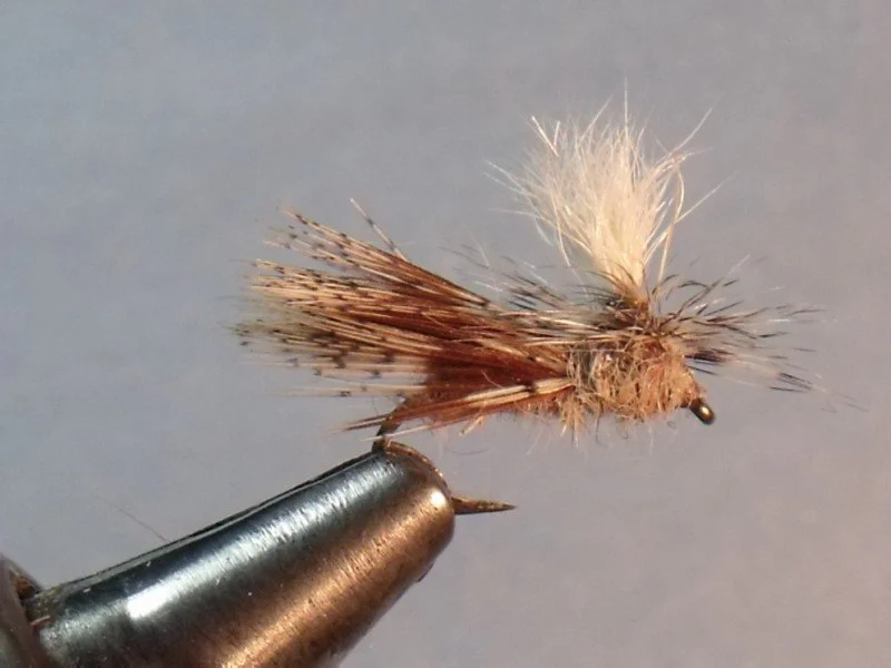 EZ Caddis
