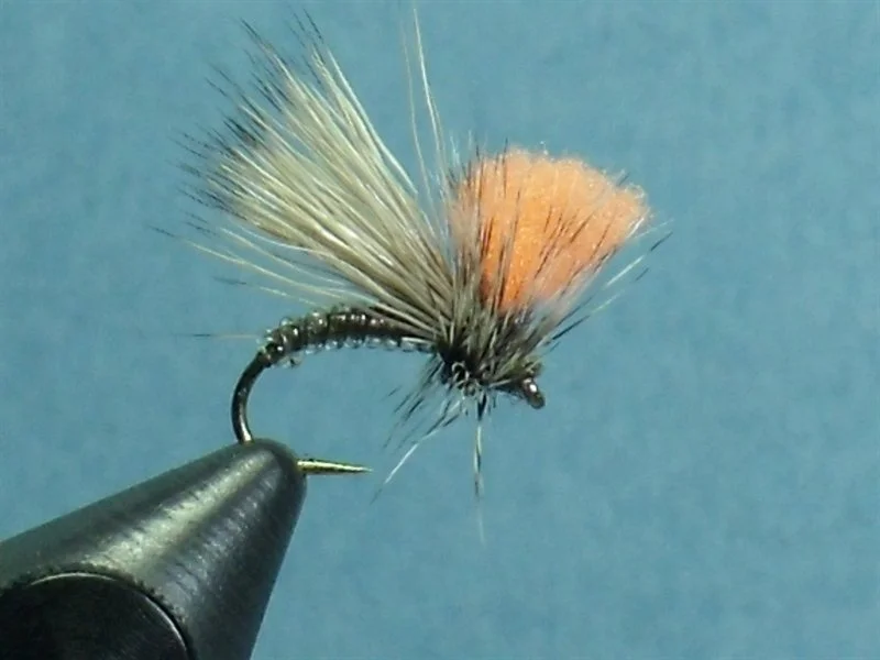 Close-up of a fishing fly with a curved hook, gray and black body, orange tuft, and gray and black feathered wings, mounted on a vise against a blue background.