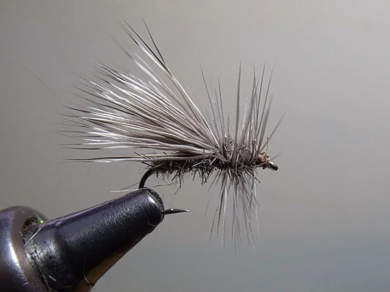 Close-up of a fishing fly used for fly fishing, with detailed feathers and hooks.