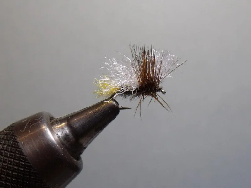 Close-up of a fishing fly tied to a hook, mounted on a metal tool.