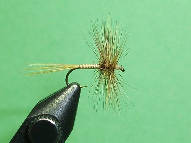 Close-up of a fishing fly with a green background.