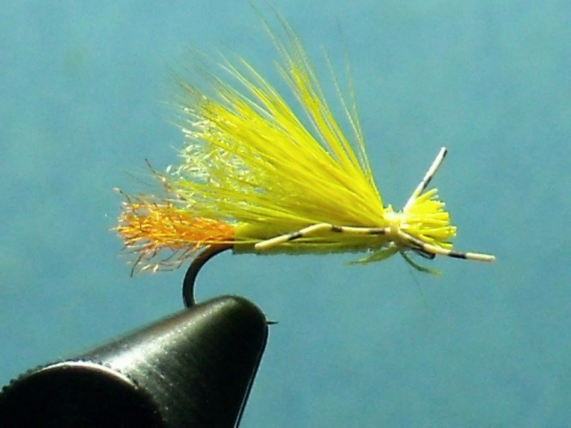 Close-up of a fishing fly with yellow and orange feathers and synthetic materials against a blue background.