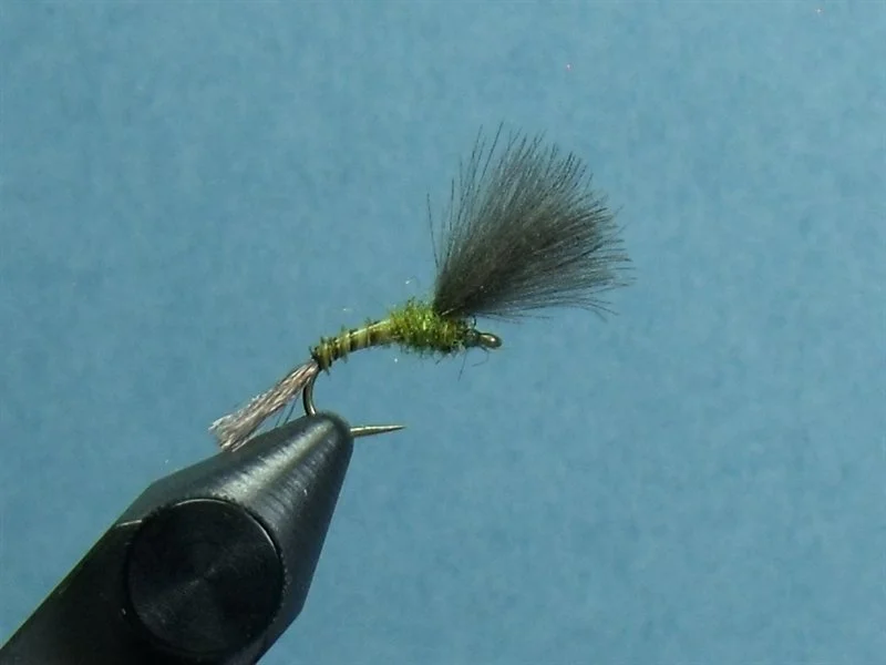 A close-up image of a fishing fly with a black feathered tail and a green body, held in a vise against a blue background.