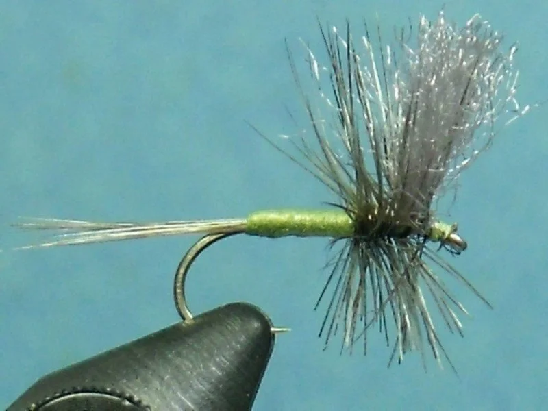 Close-up of a fishing fly tied to a hook, used as bait in fly fishing.