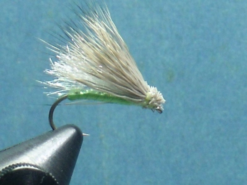 Close-up of a fishing fly with a hook, tied with white and beige feathers on a blue background.