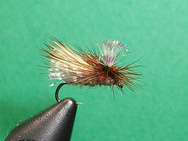 Close-up of a fishing fly with a hook, featuring a furry body and iridescent wings against a green background.