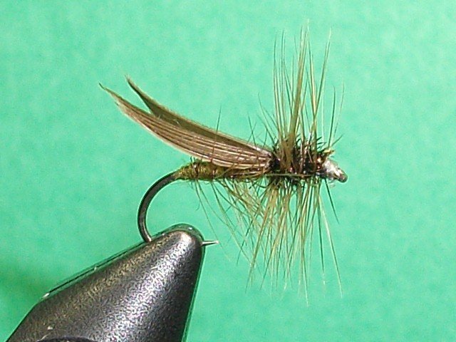 Close-up of a fishing fly tied to a hook, with a green background.