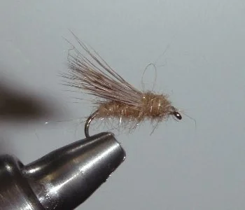 Close-up of a fishing fly with brown and tan fibers, attached to a metallic hook.