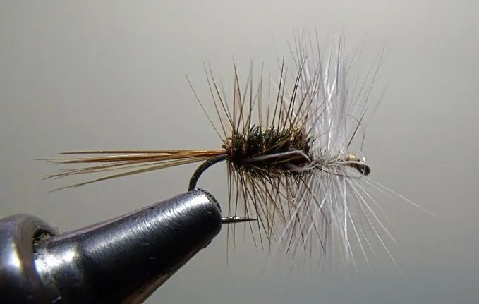 Close-up of a fishing fly with brown and gray feathers, mounted in a vise for fishing or fly tying.