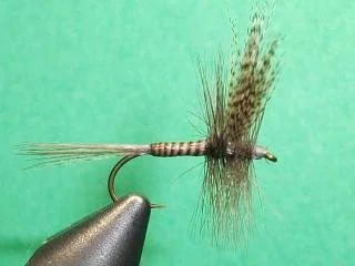 Close-up of an fishing fly lure with a hook, grey and brown feathers, and a tan and brown body, placed against a green background.