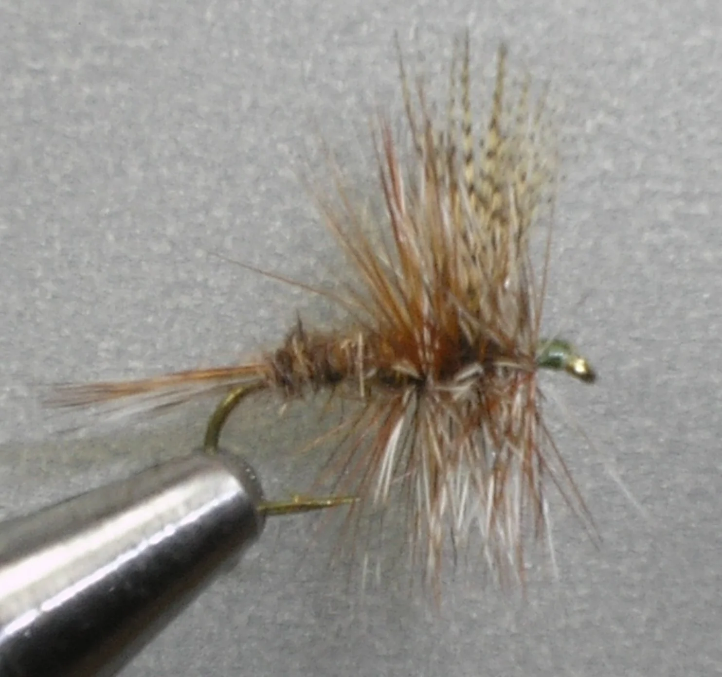 Close-up of a fishing fly with brown feathered wings, attached to a metal hook.