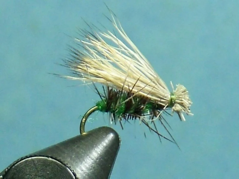 Lively Caddis
