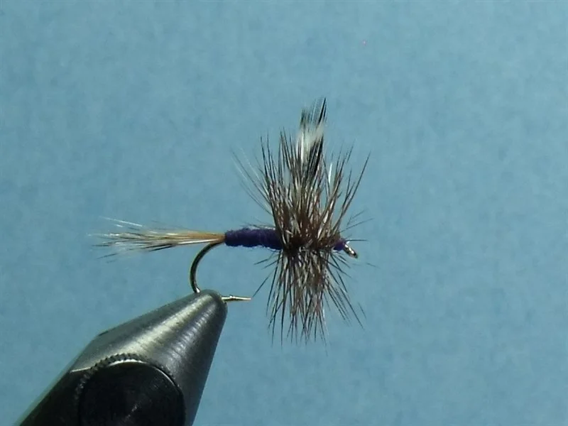 Close-up of a fishing fly tied to a fishing hook, used in fly fishing.