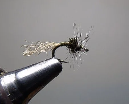 Close-up of a fishing fly hooked onto a metal vise.