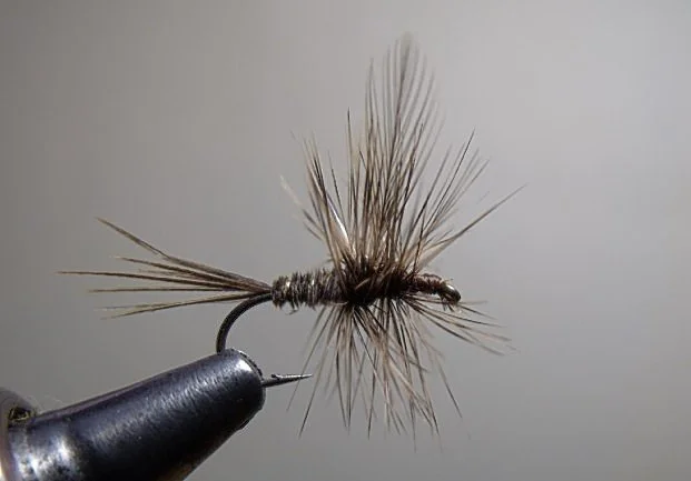 Close-up of a fishing fly used for fly fishing, with a hook, feathers, and fur tied to resemble an insect.