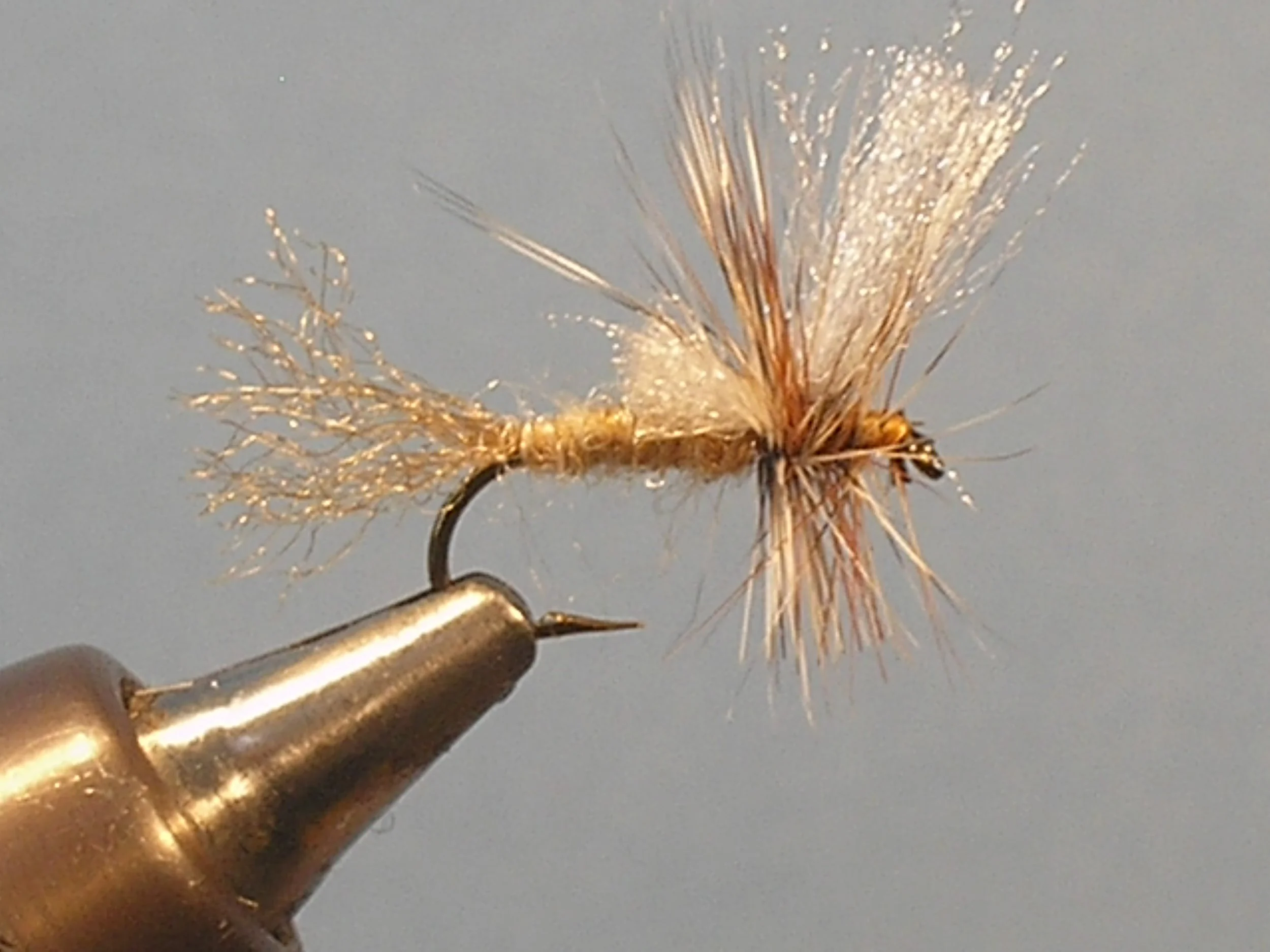Close-up of a tan-colored fishing fly with feathers, attached to a metal hook, held in a vise against a plain background.