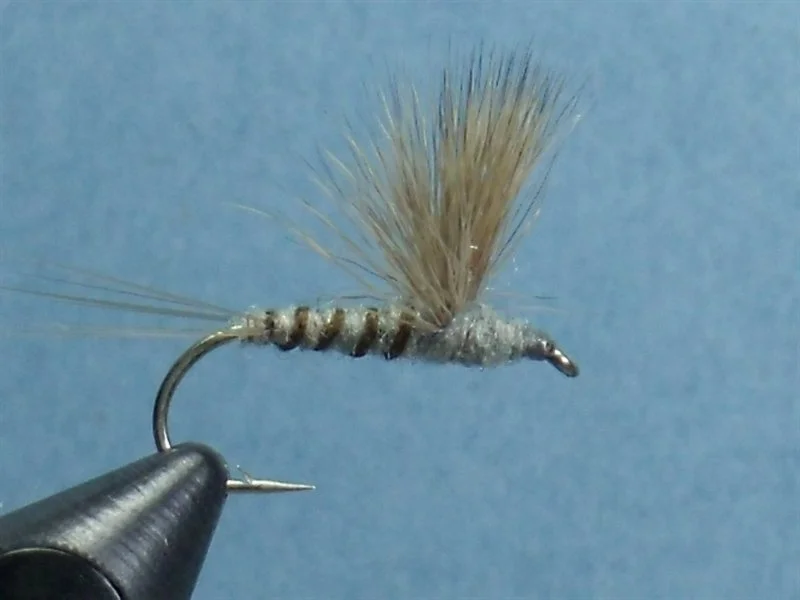 Close-up of a fishing fly used for fly fishing, featuring a metallic hook, fuzzy gray body, and tan feathered wing, set against a blue background.