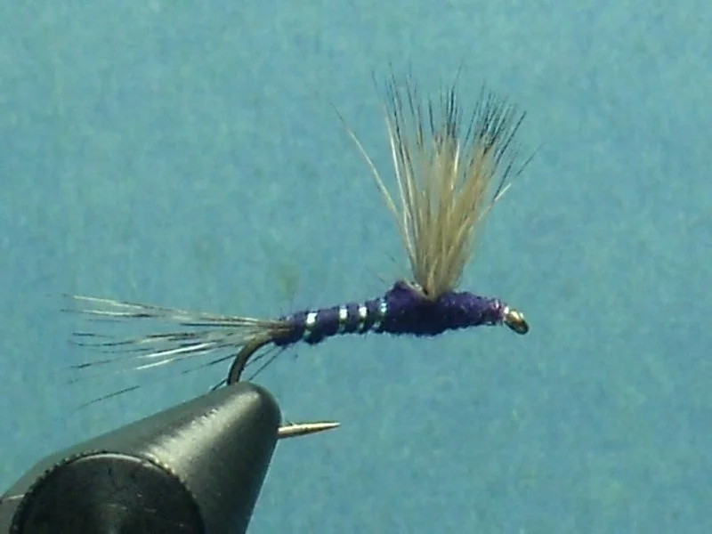 Close-up of a fishing fly with blue, beige, and black materials, mounted on a fly fishing hook against a blue background.