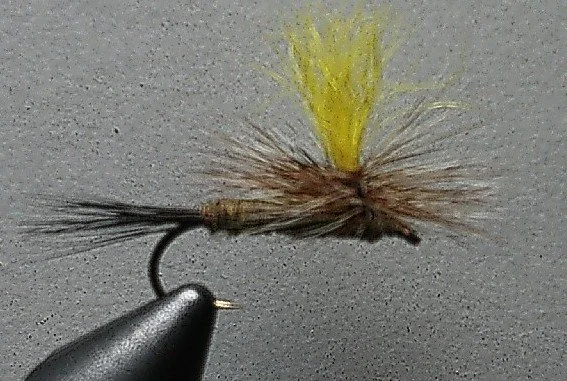 Mr Rapidan Parachute