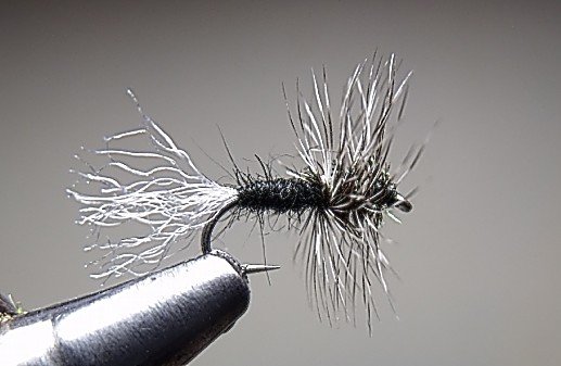 Close-up of a black fishing fly with white and gray feathers, held in a vise for fly tying.