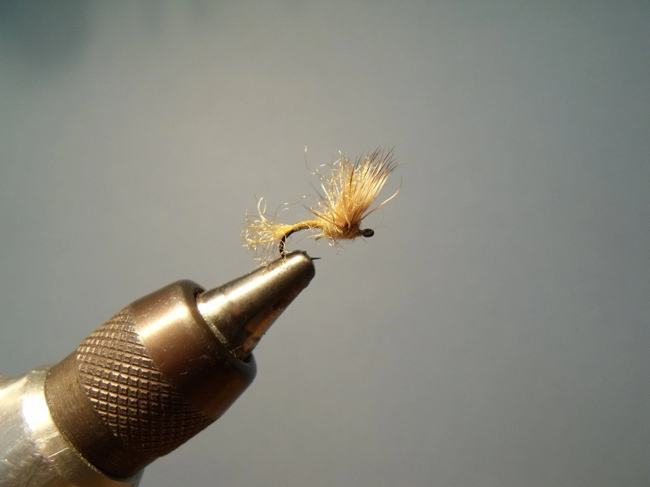 Close-up of a fishing fly tied to an orange hook. The fly has light-colored, fuzzy material and thin, spiky fibers, mounted on a metallic tool. Gray background.