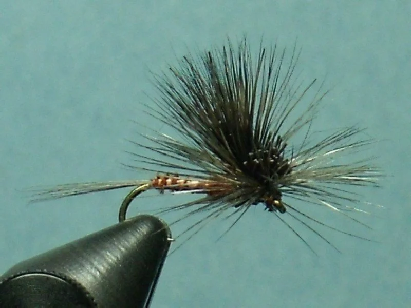 Tilt Wing Hendrickson