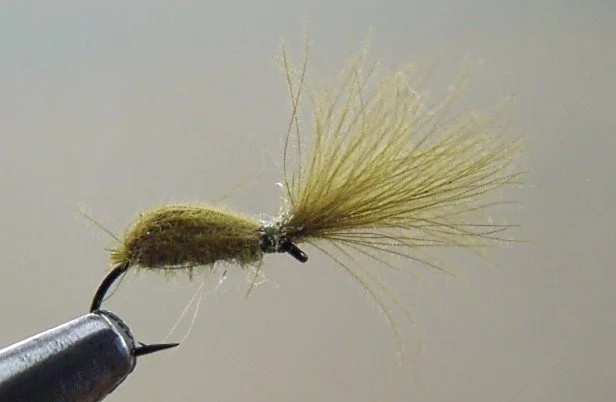 Close-up of a fishing fly used for fly fishing, attached to a fishing hook.