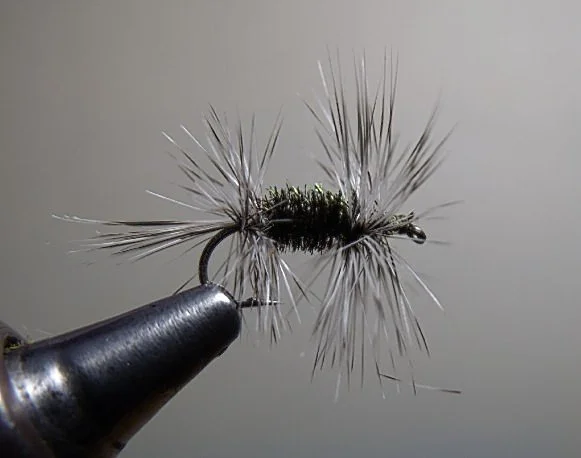 Close-up of a fishing fly tied with hooks and synthetic fibers, held in a metal vise.