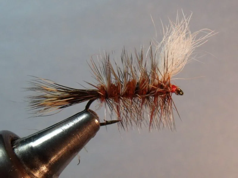 Close-up of a fishing fly with brown and black fur, a white feather, and a hook, held by a metallic vise.