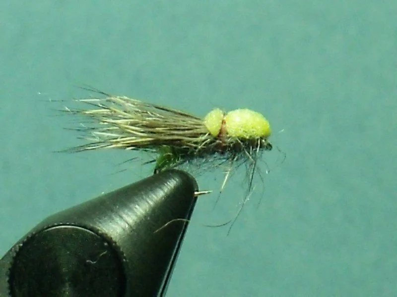 A close-up of an artificial fishing fly with a black hook and fuzzy yellow body, attached to the tip of a fishing rod.