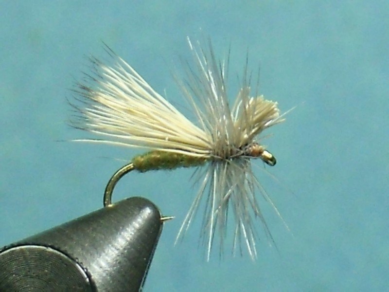 Close-up of a fishing fly with beige feathers and a curved hook, held by a black hand tool against a blue background.