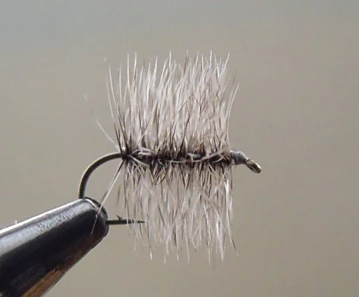 Close-up of a fishing fly tied to a hook, used as bait in fly fishing.