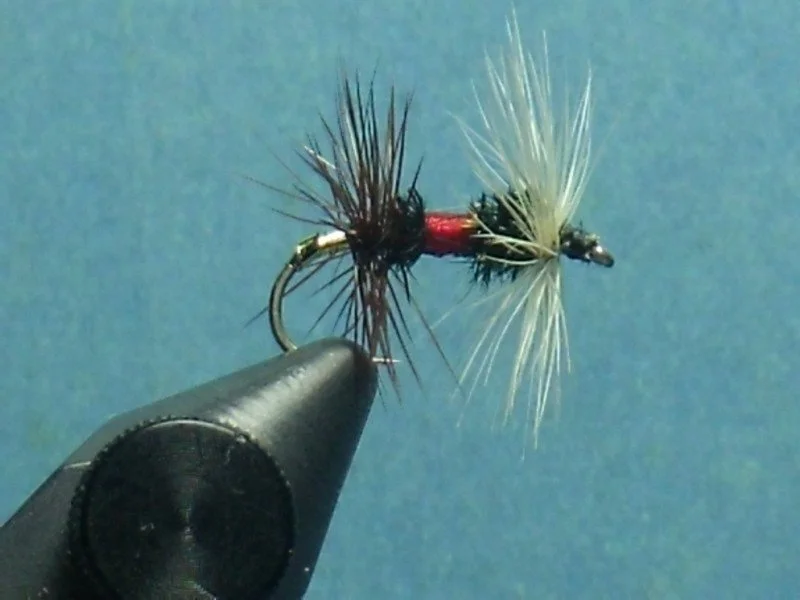 Close-up of a fishing fly with black and white feathers and a red body, held by a black tool against a blue background.