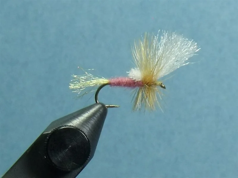 Close-up of a fishing fly with a pink body, beige wings, and white fuzzy material, held in a metal tool against a blue background.
