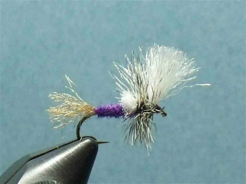 A close-up of a fishing fly with white and purple fibers, used for fly fishing, held in a metal clamp against a blue background.
