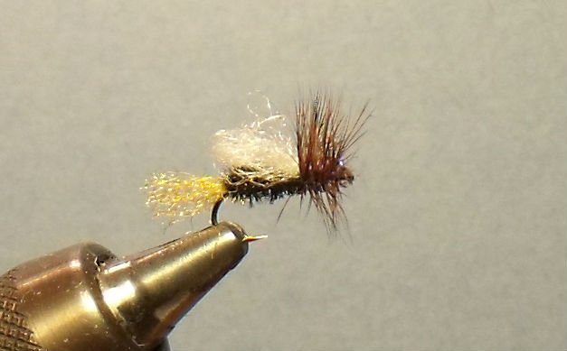 Coachman Clacka Caddis