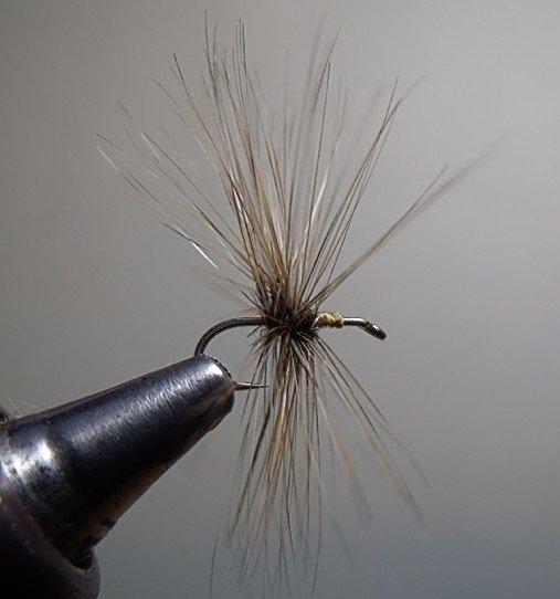 Close-up of a fishing fly tied to a hook, used as bait for fly fishing.