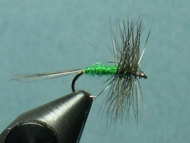 Close-up of a fishing fly with black and green colors and thorn-like wings, mounted on a hook against a blue background.