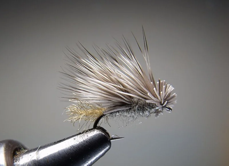 Double Wing Caddis