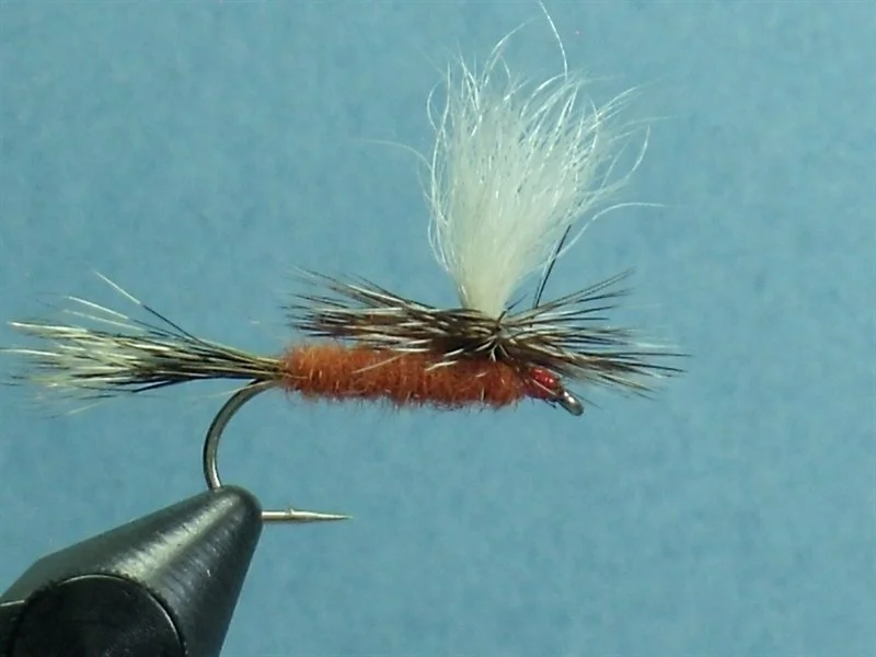 Close-up view of a fishing fly with orange body, black and white wings, and a white tuft of hair, mounted on a black fishing hook.