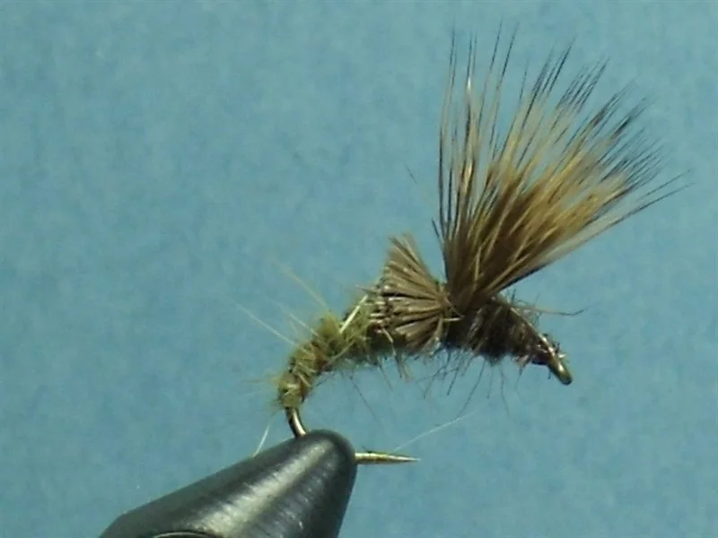 Close-up of a fishing fly with a hook, tied with brown and tan feathers against a blue background.