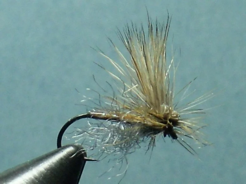 Close-up of a fishing fly with tan and black fibers, mounted on a metal hook, held in a vice against a gray background.